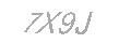 Güvenlik Kodu
